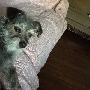 Meet your Posher, Ann